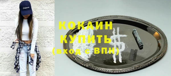 соль ск Алзамай