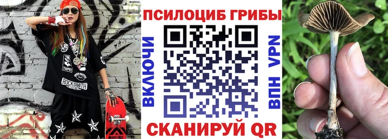 Псилоцибиновые грибы MAGIC MUSHROOMS  даркнет сайт  Берёзовский 